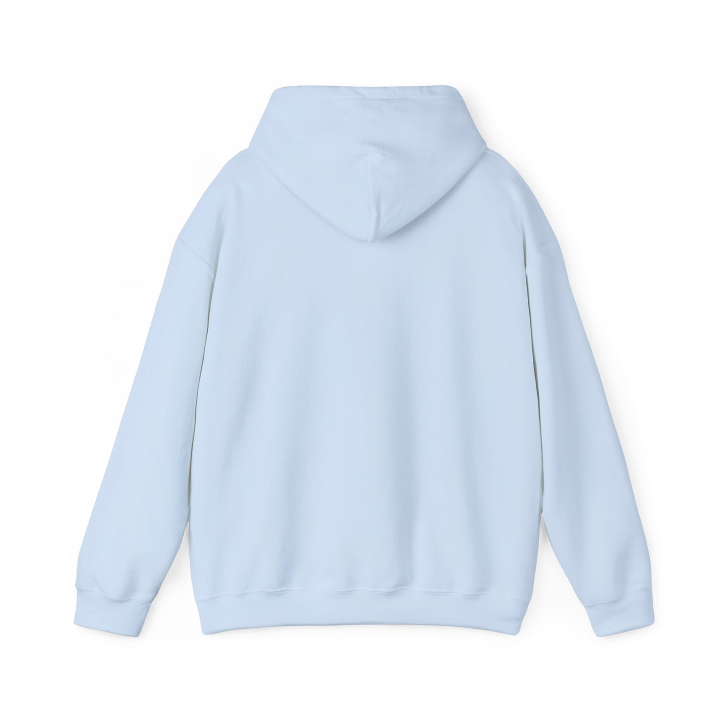 Gulf of America Est. 2025 Waves Gildan Brand Hoodie