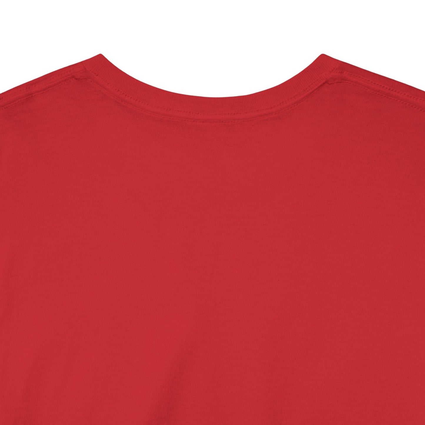 Stolen Conquered USA Gildan Brand T-Shirt