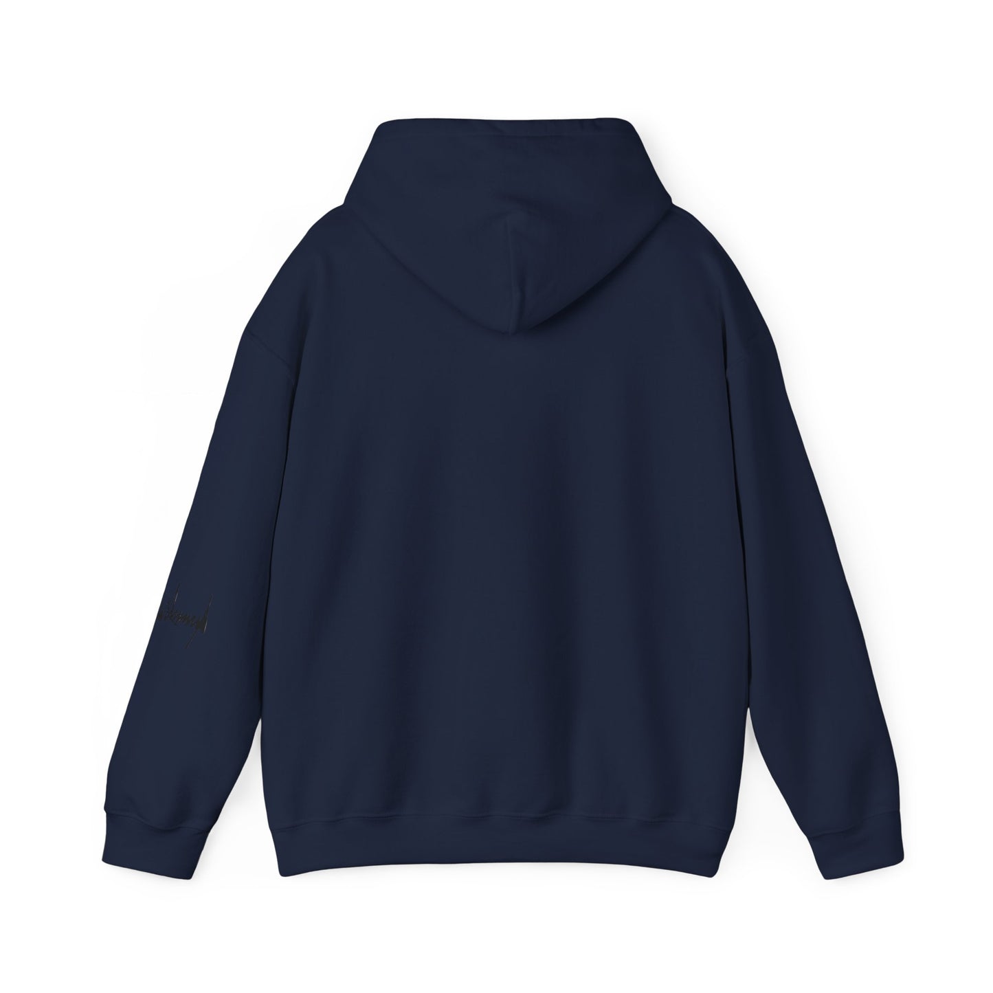 "Iran Forgot, Our President Has 34 Felonies" President Trump Signature Gildan Brand Hoodie