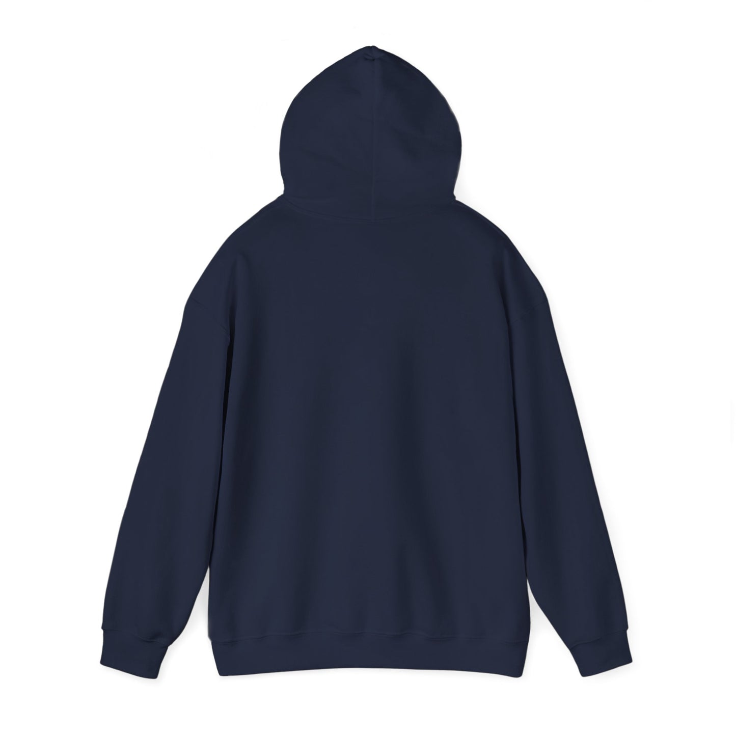 Gulf of America Est. 2025 Waves Gildan Brand Hoodie