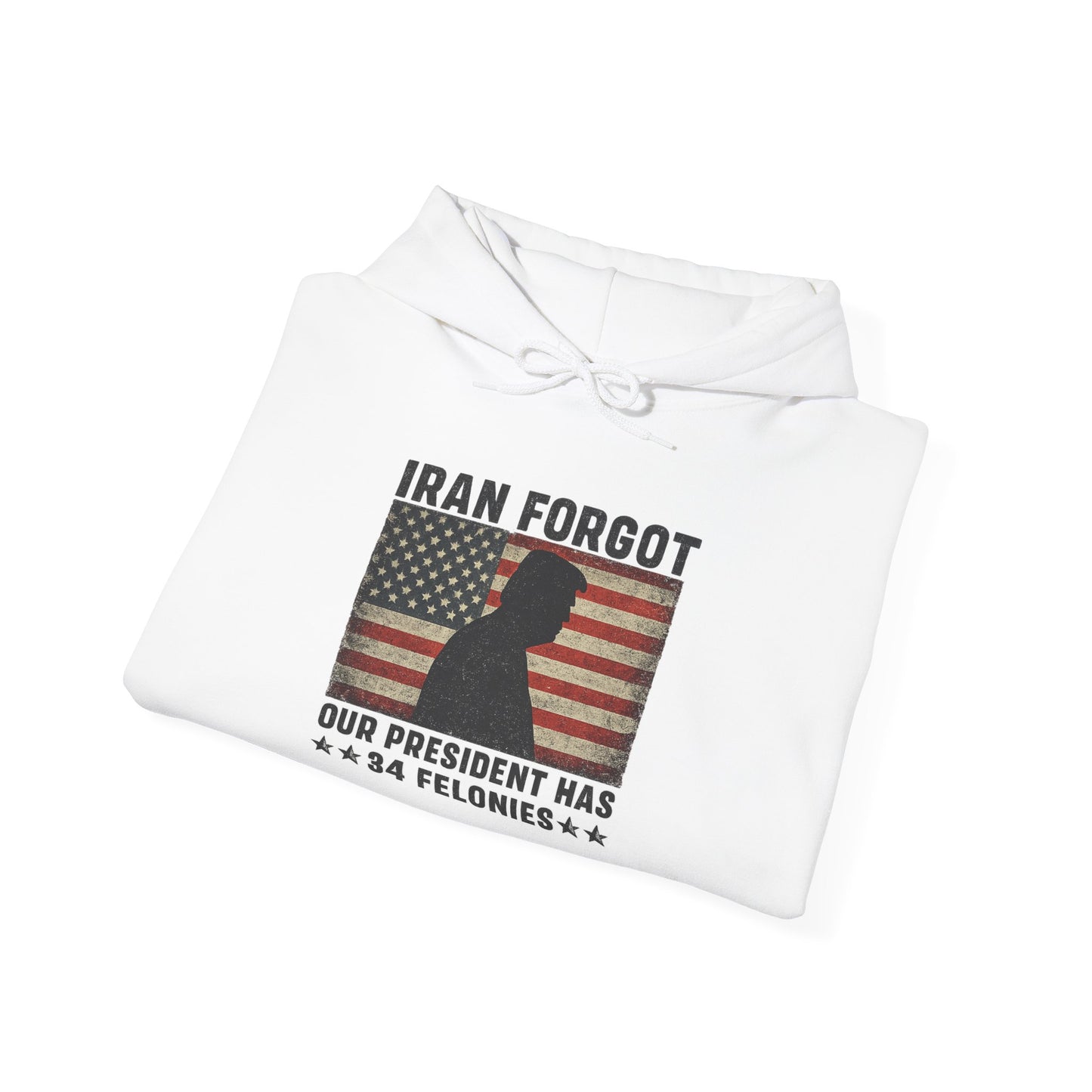 "Iran Forgot, Our President Has 34 Felonies" President Trump Signature Gildan Brand Hoodie