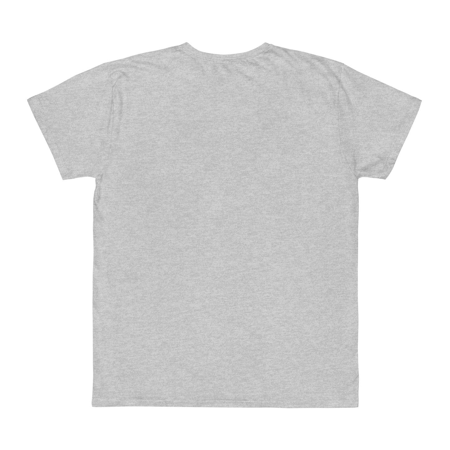 "Iran Forgot, Our President Has 34 Felonies" President Trump Fruit Of The Loom Brand T-Shirt