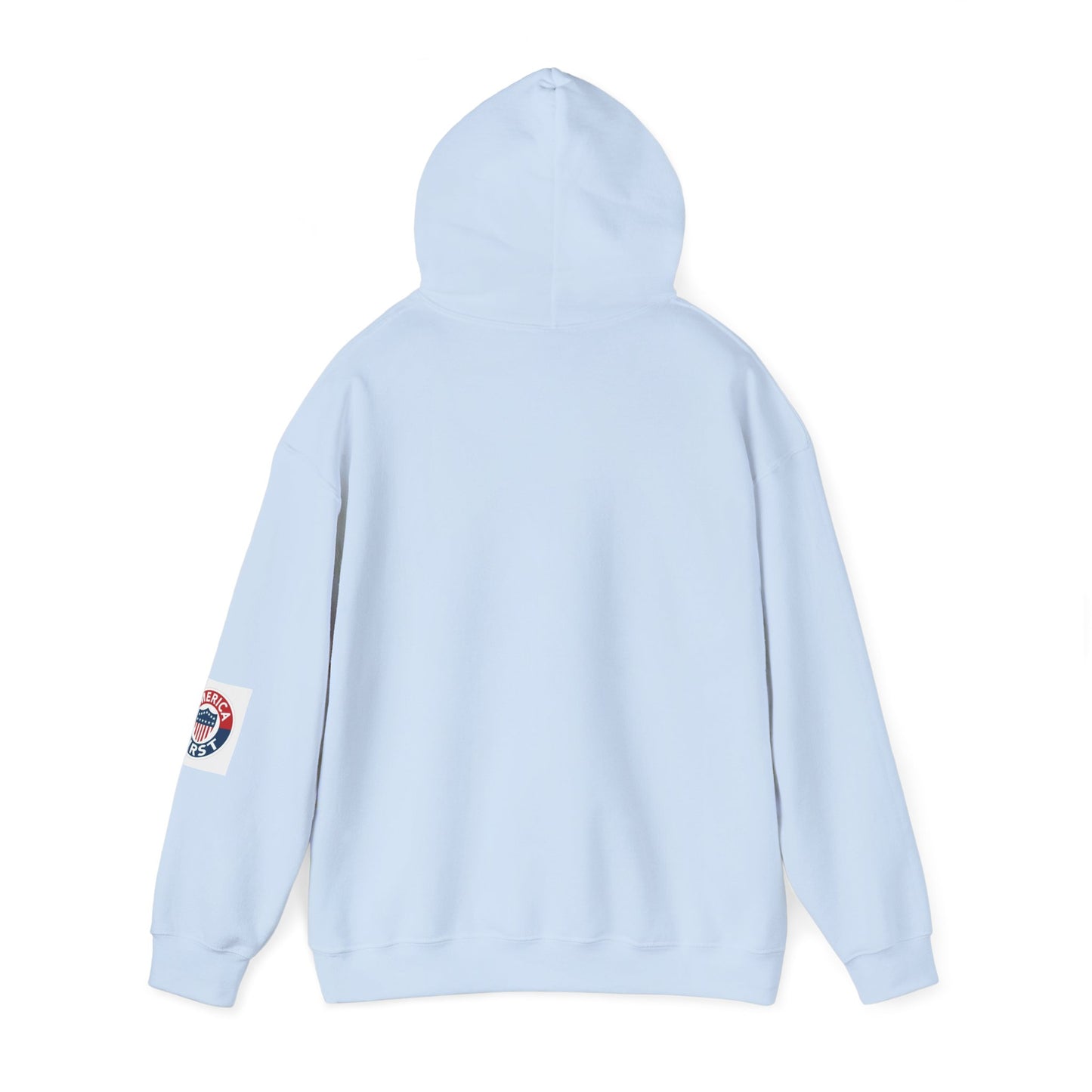 Ice Ice Baby ICE Agent Gildan Brand Hoodie