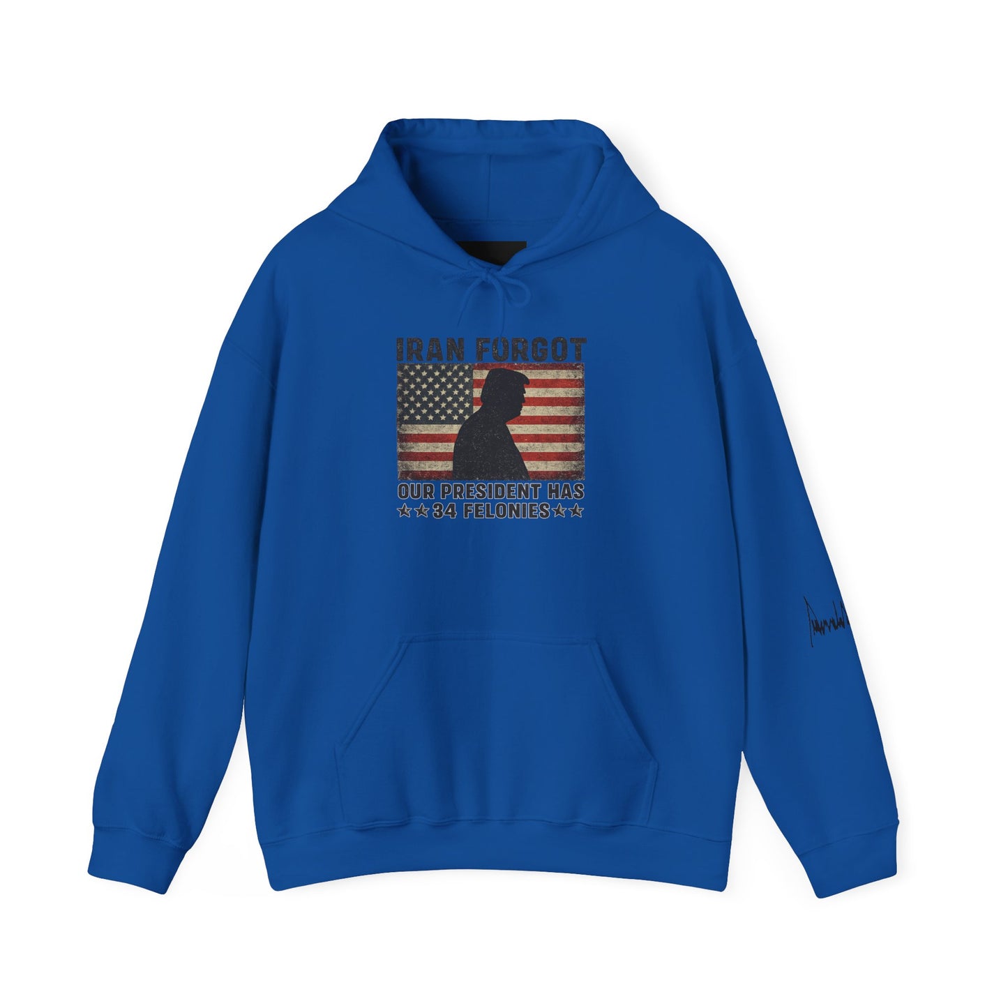 "Iran Forgot, Our President Has 34 Felonies" President Trump Signature Gildan Brand Hoodie