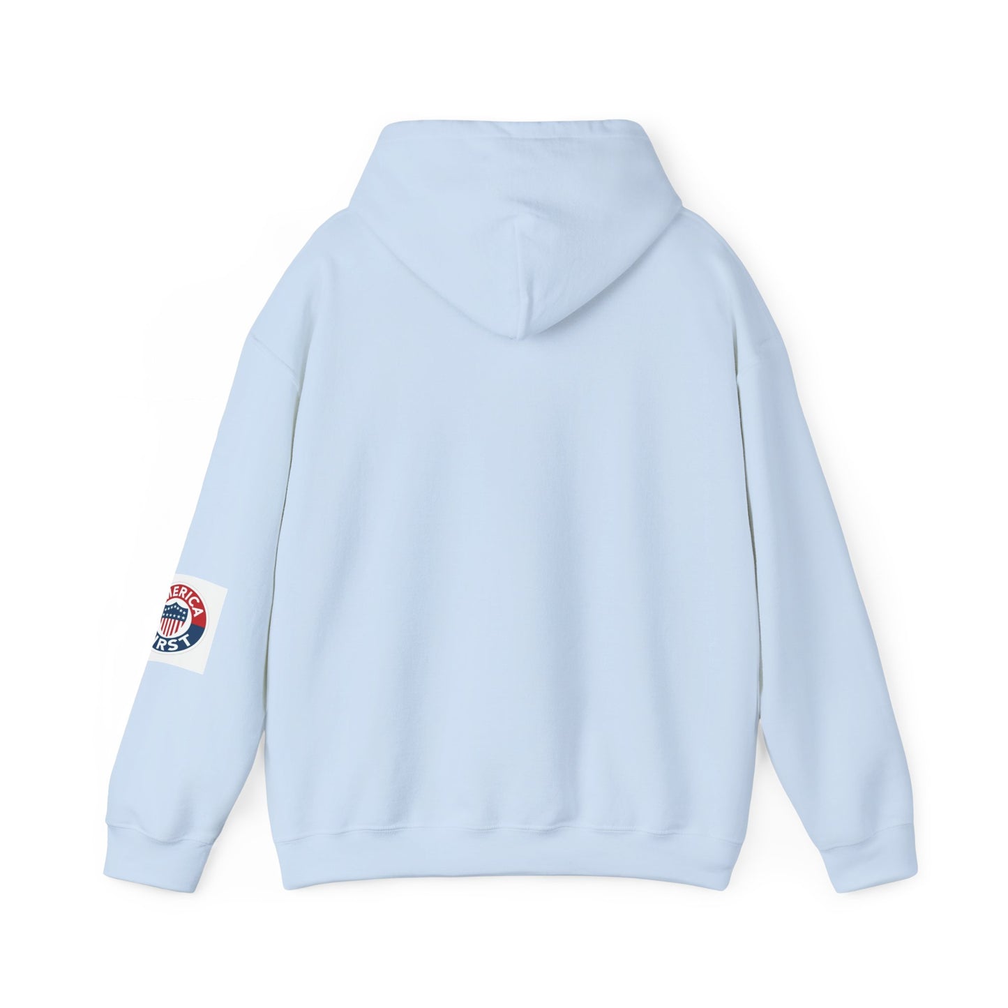 Ice Ice Baby ICE Agent Gildan Brand Hoodie