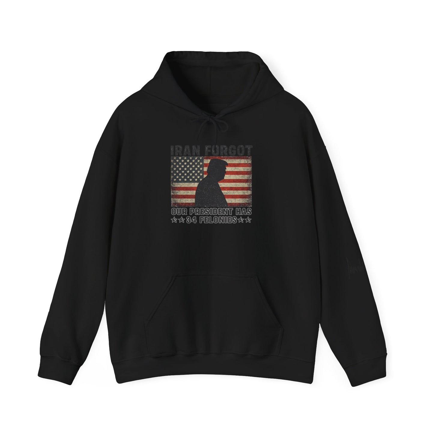 "Iran Forgot, Our President Has 34 Felonies" President Trump Signature Gildan Brand Hoodie
