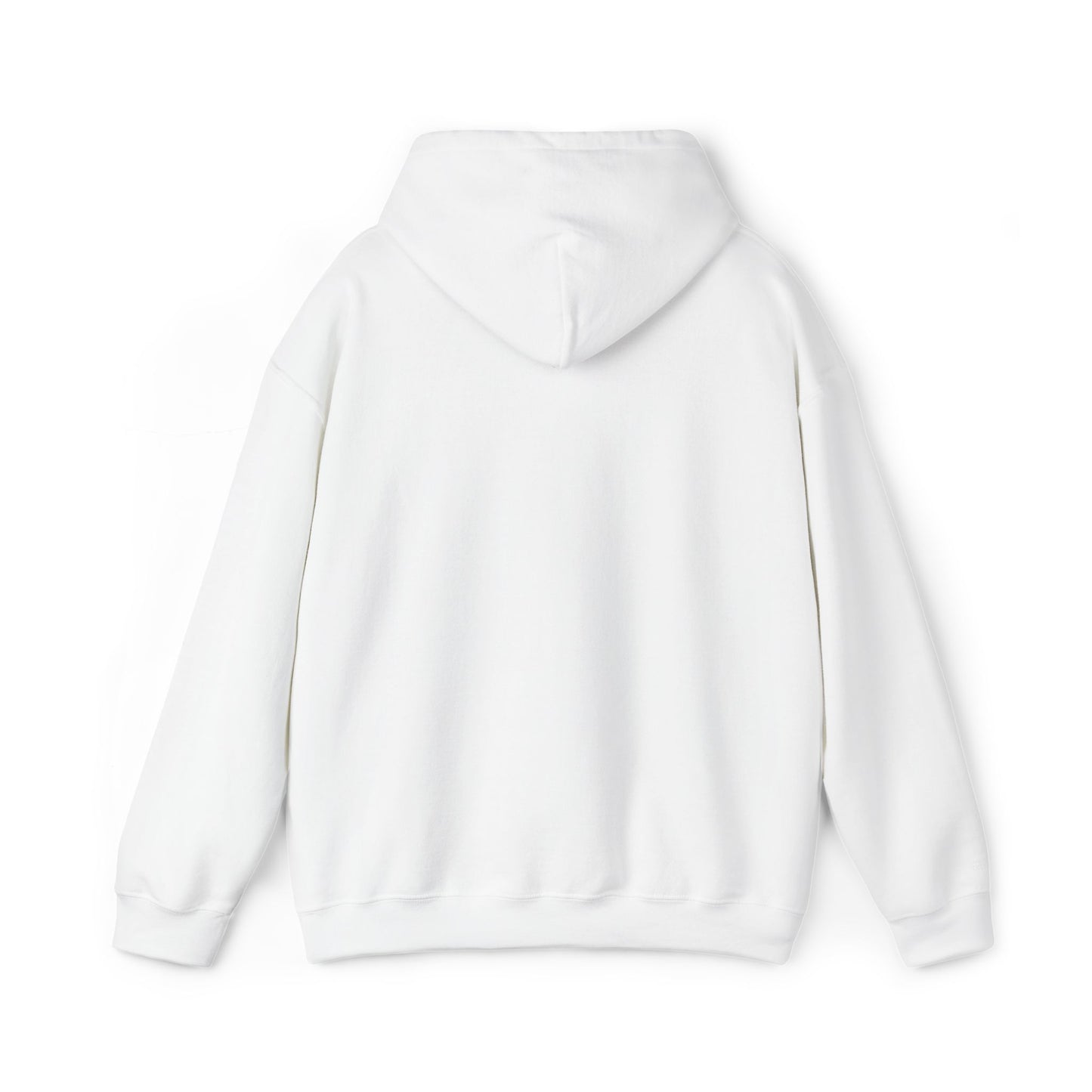 Gulf of America Est. 2025 Waves Gildan Brand Hoodie