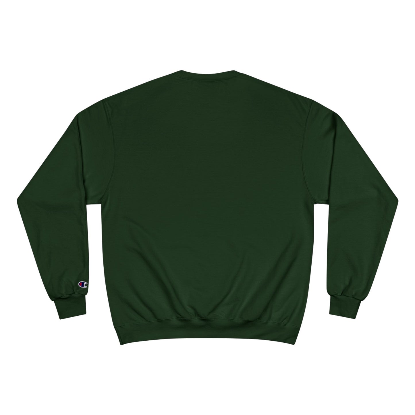 Gulf of America Est. 2025 Waves Champion Brand Hoodie