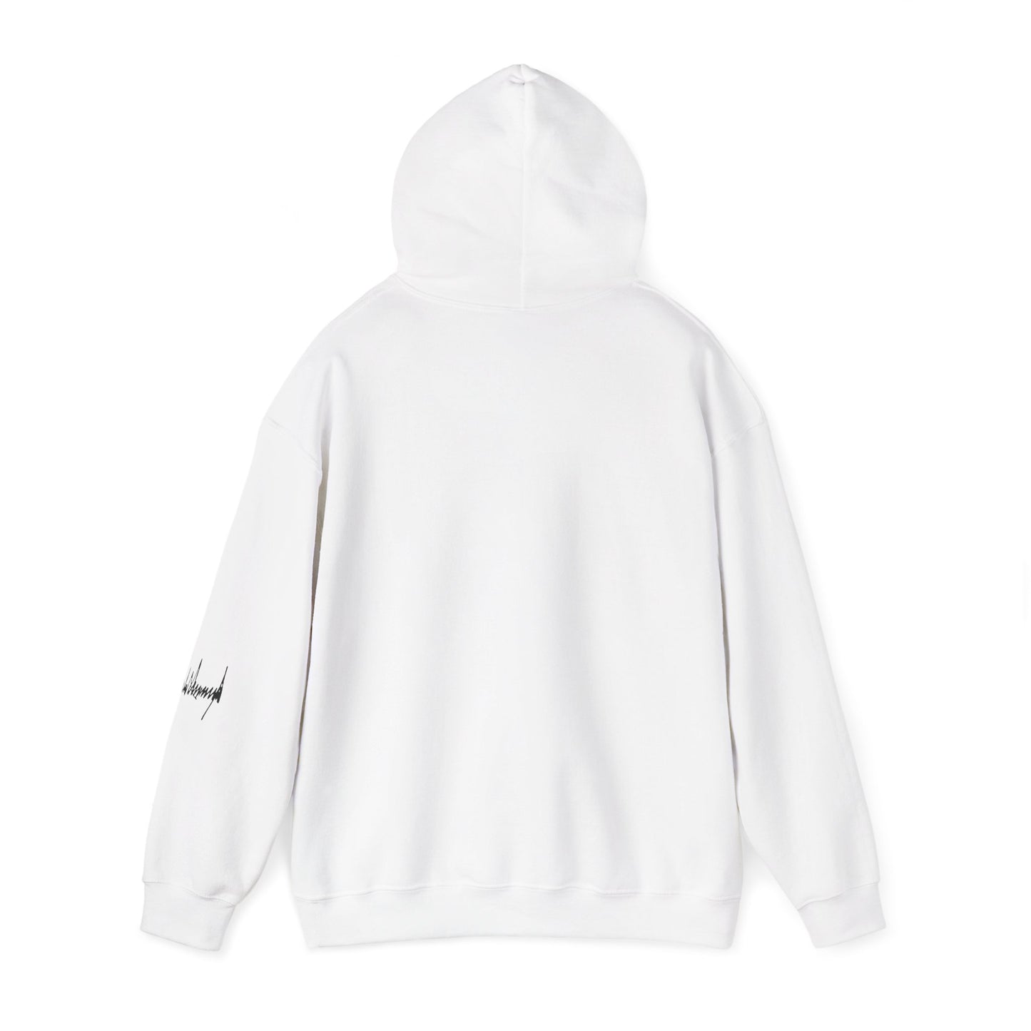 "Iran Forgot, Our President Has 34 Felonies" President Trump Signature Gildan Brand Hoodie