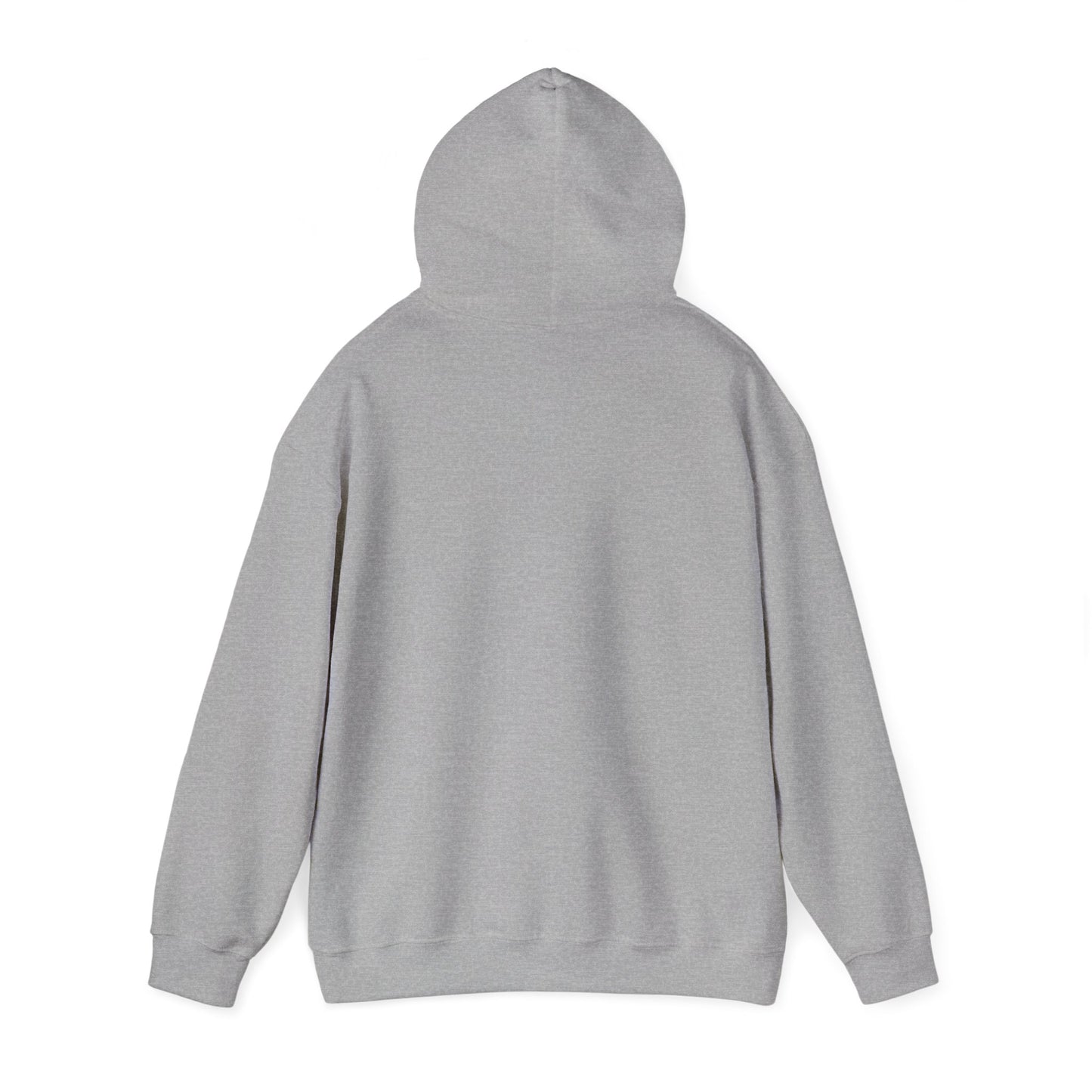 Gulf of America Est. 2025 Waves Gildan Brand Hoodie