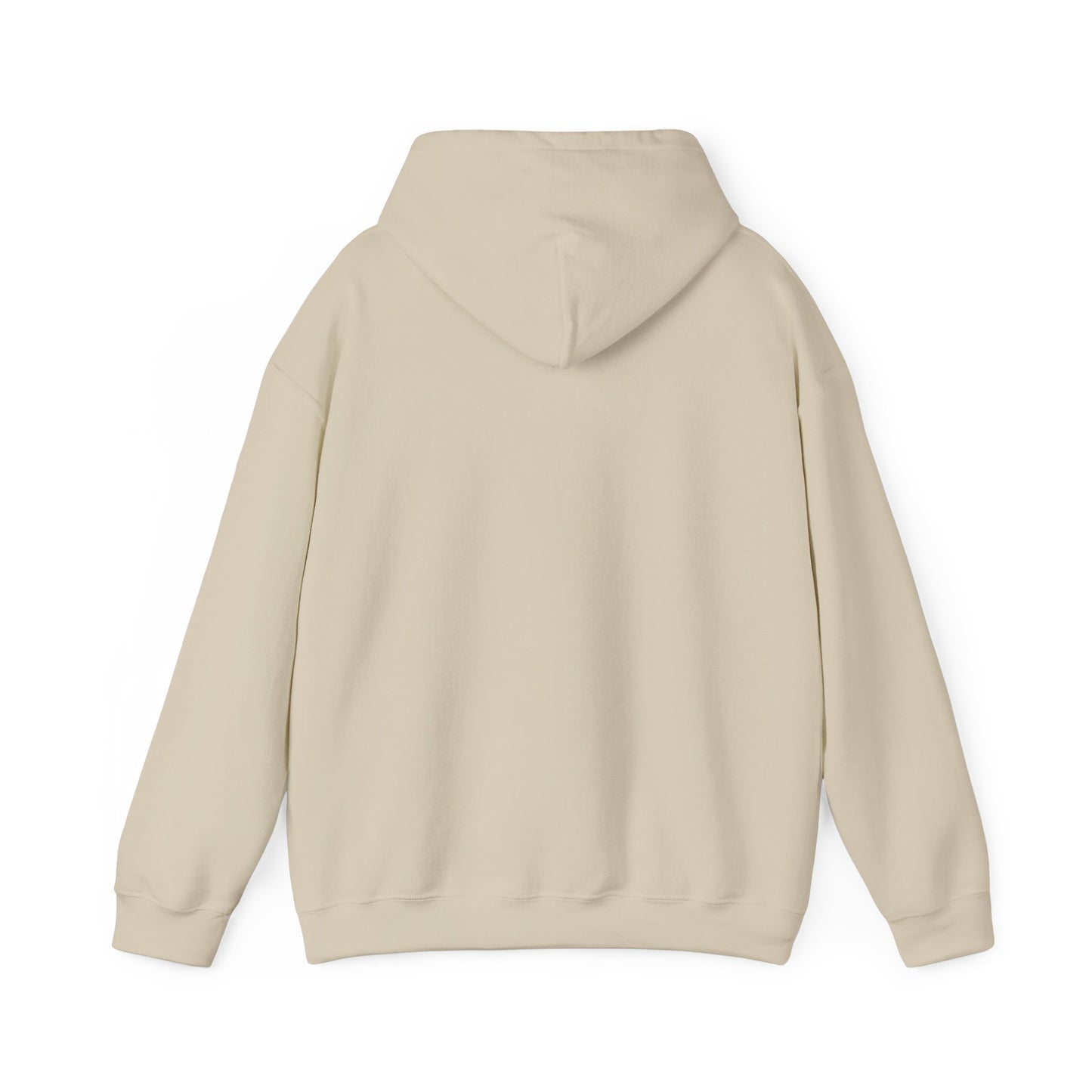 Gulf of America Est. 2025 Waves Gildan Brand Hoodie