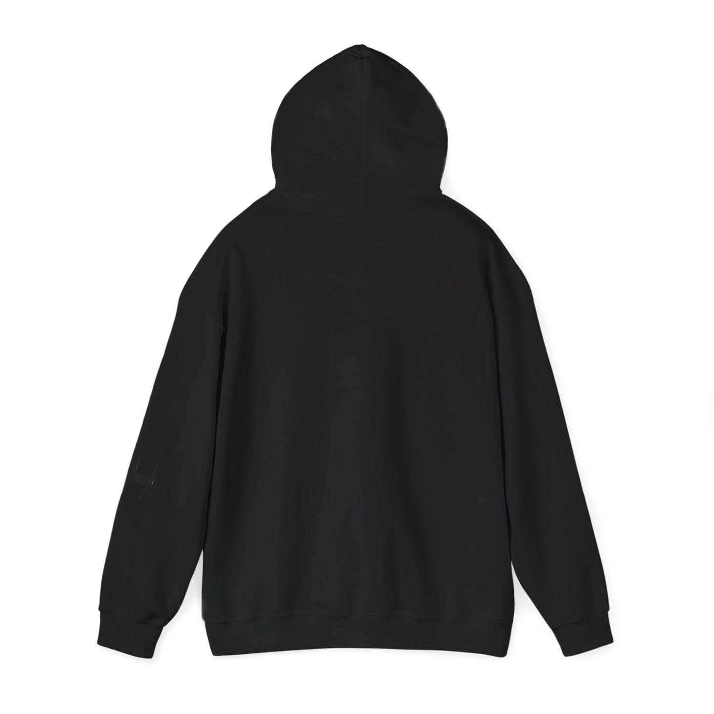 "Iran Forgot, Our President Has 34 Felonies" President Trump Signature Gildan Brand Hoodie