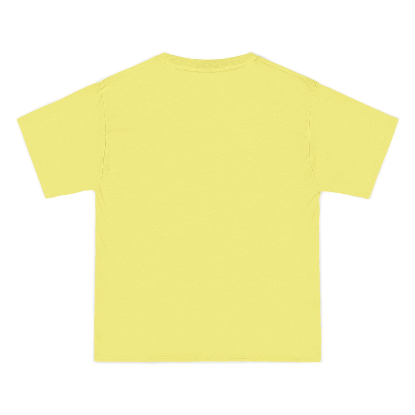 Gulf of America Est. 2025 Waves Hanes Brand T-Shirt