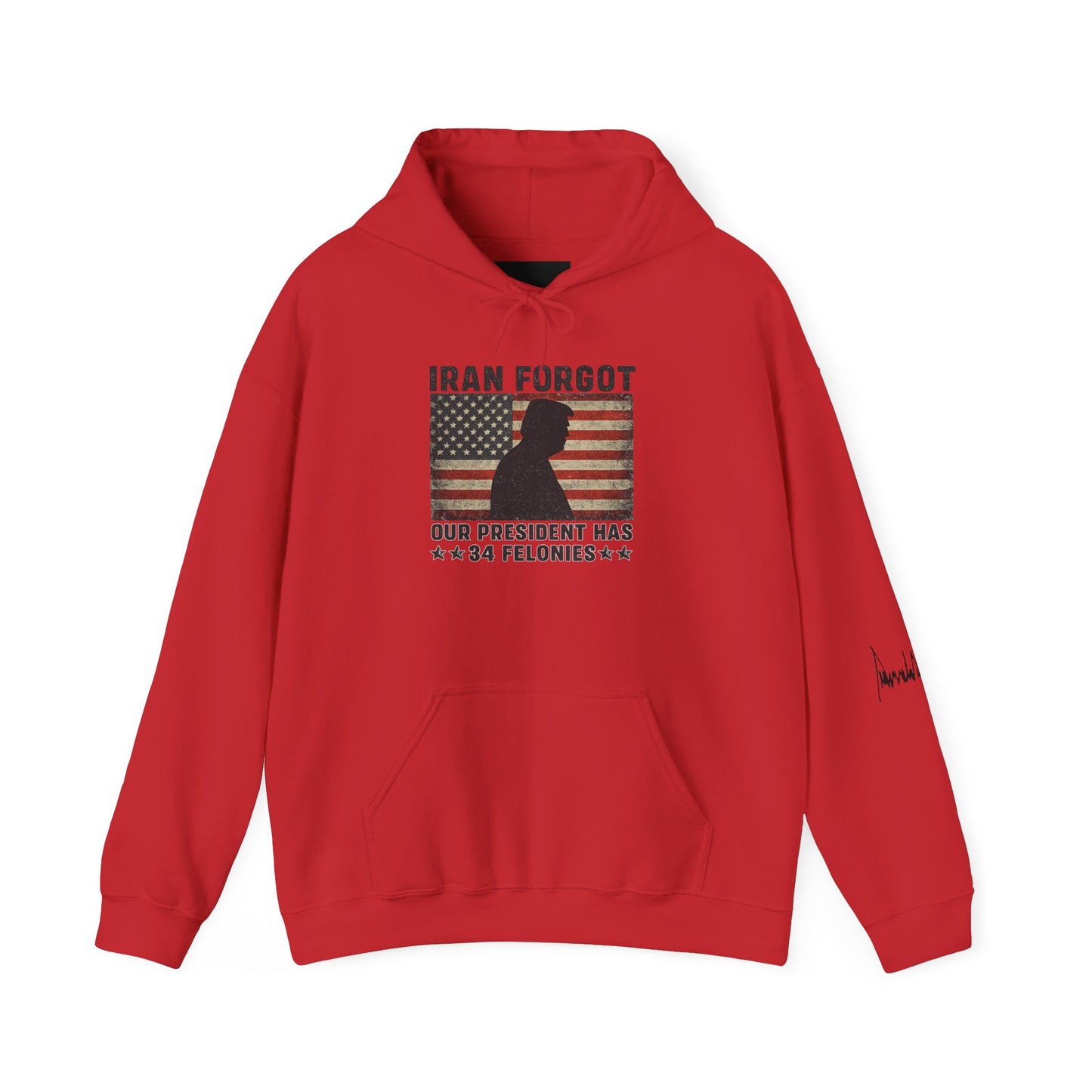"Iran Forgot, Our President Has 34 Felonies" President Trump Signature Gildan Brand Hoodie
