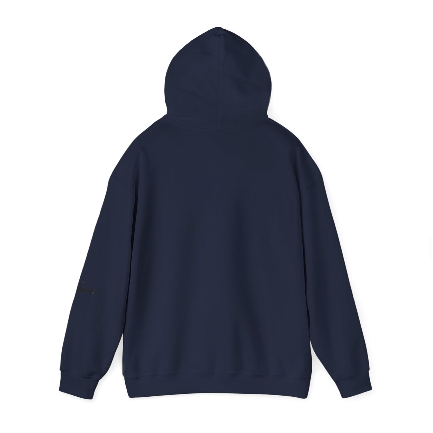 "Iran Forgot, Our President Has 34 Felonies" President Trump Signature Gildan Brand Hoodie