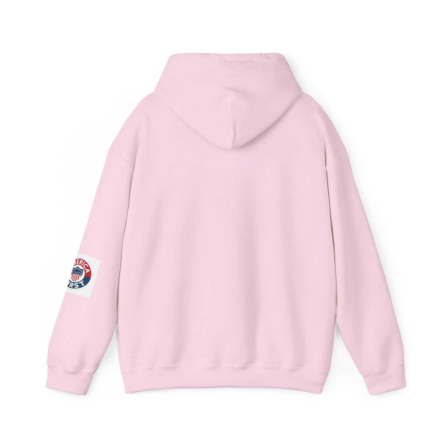 Ice Ice Baby ICE Agent Gildan Brand Hoodie