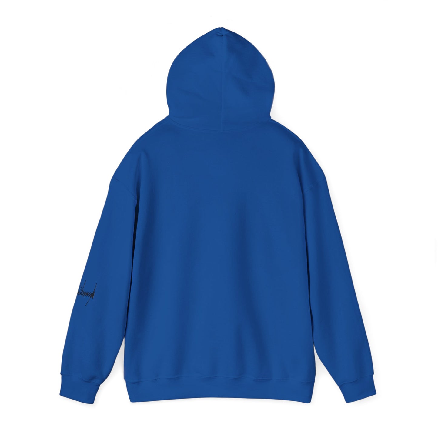 "Iran Forgot, Our President Has 34 Felonies" President Trump Signature Gildan Brand Hoodie
