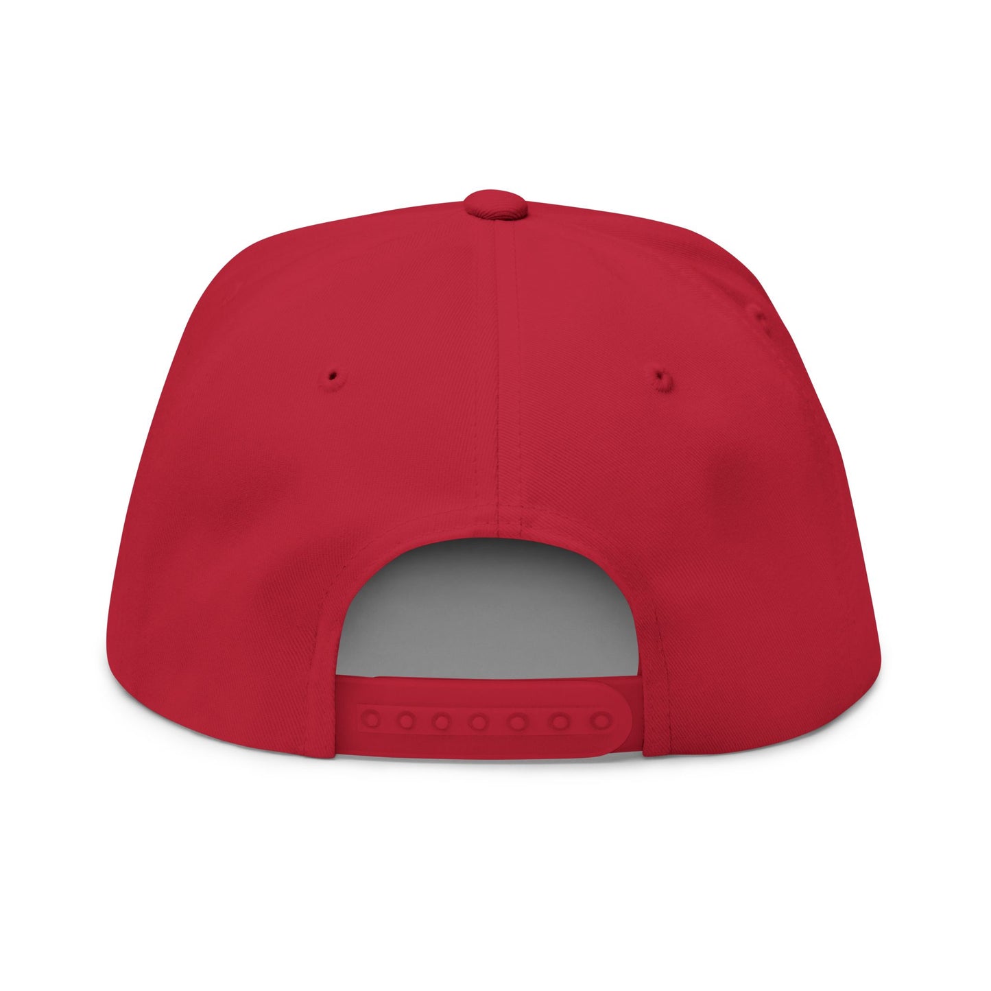 Ecclesiastes 10:2 Winged Hearts Conservative & Liberal Meanings ~Embroidered Flat Bill Hat