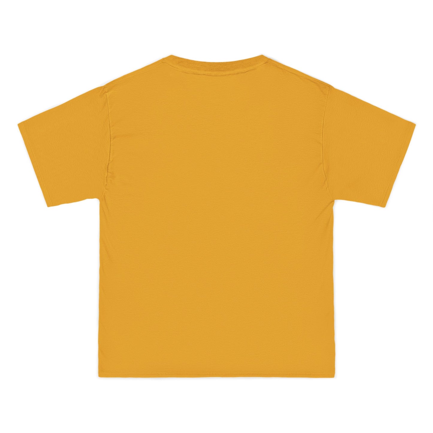 Gulf of America Est. 2025 Waves Hanes Brand T-Shirt