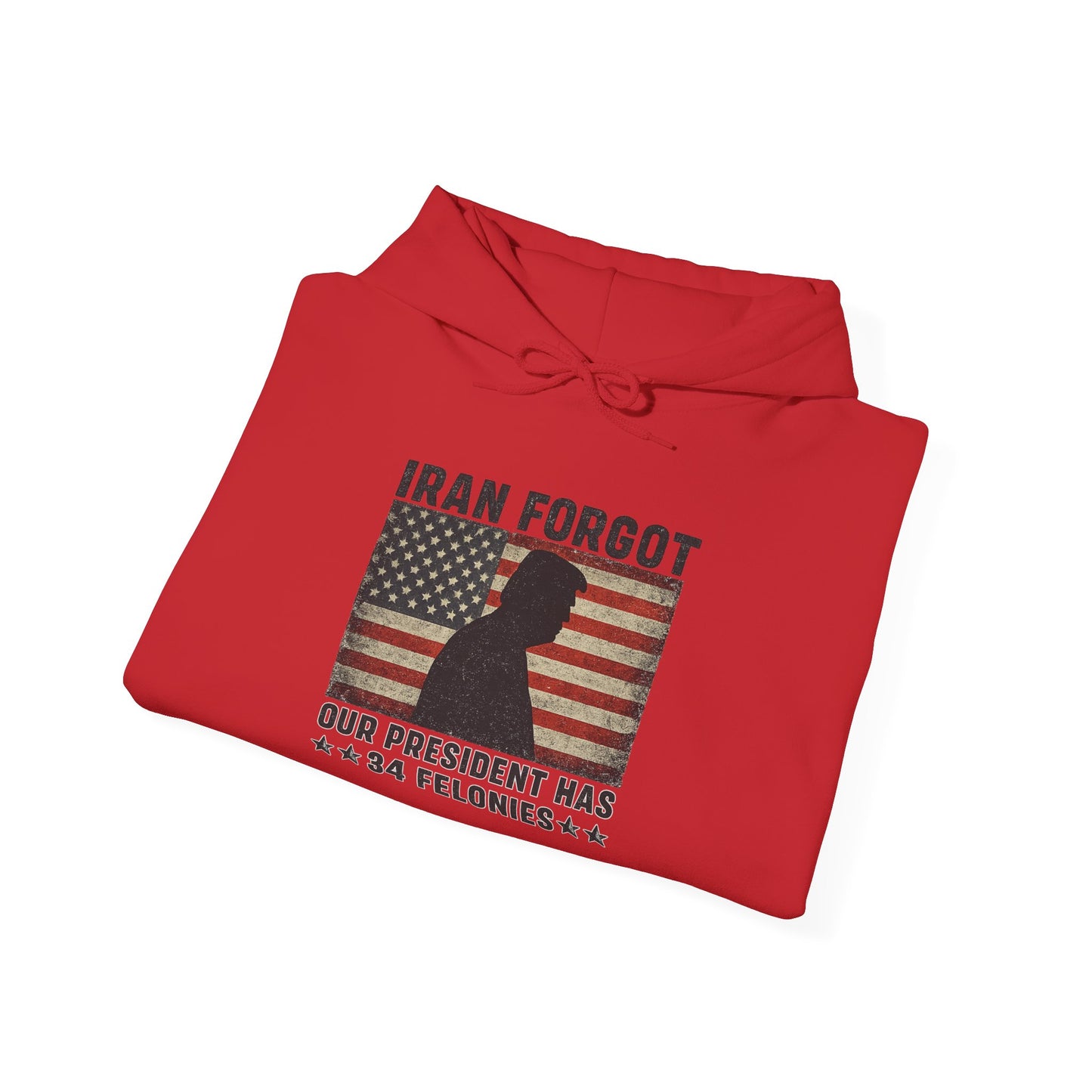 "Iran Forgot, Our President Has 34 Felonies" President Trump Signature Gildan Brand Hoodie